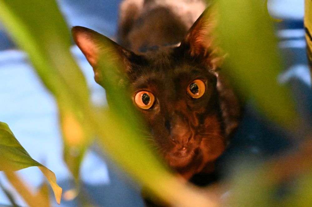 Photograph by Анна Глаговская