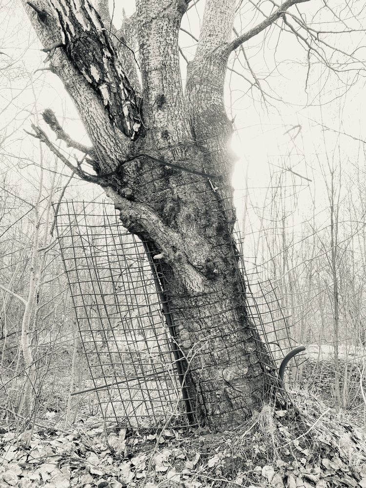 Photograph by Ольга Козлова