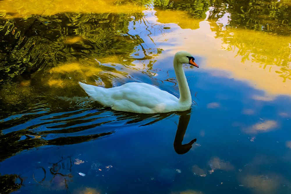 Photograph by Dubravka Madjinca