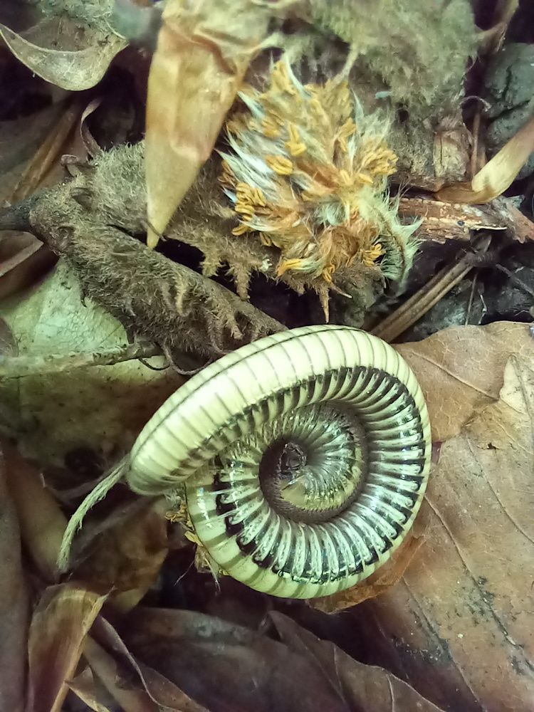 Photograph by Ольга Шевцова