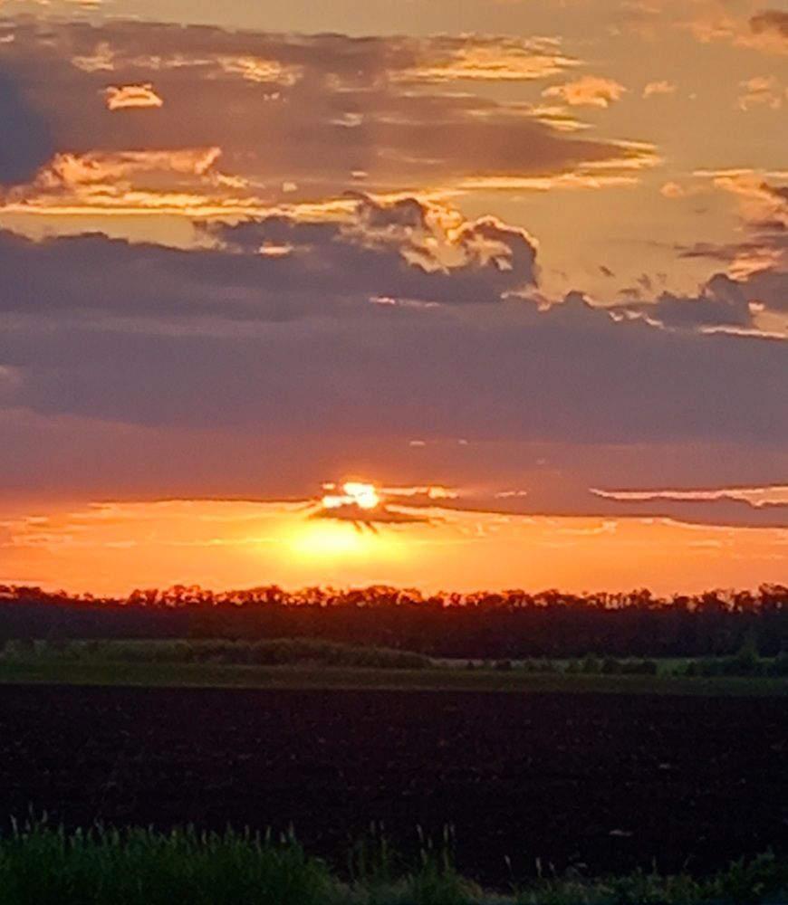 Photograph by Ольга Шевцова