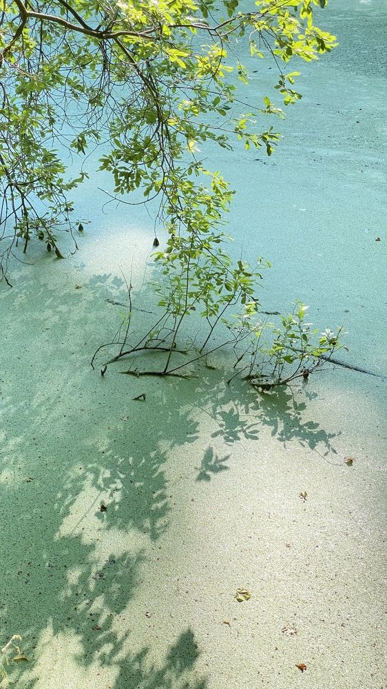 Photograph by Ольга Козлова