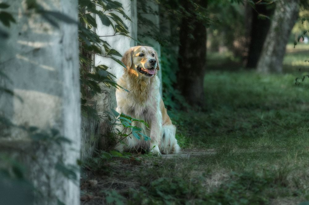 Photograph by Анастасия Мельник