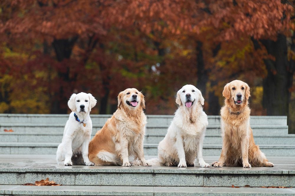 Photograph by Анастасия Мельник