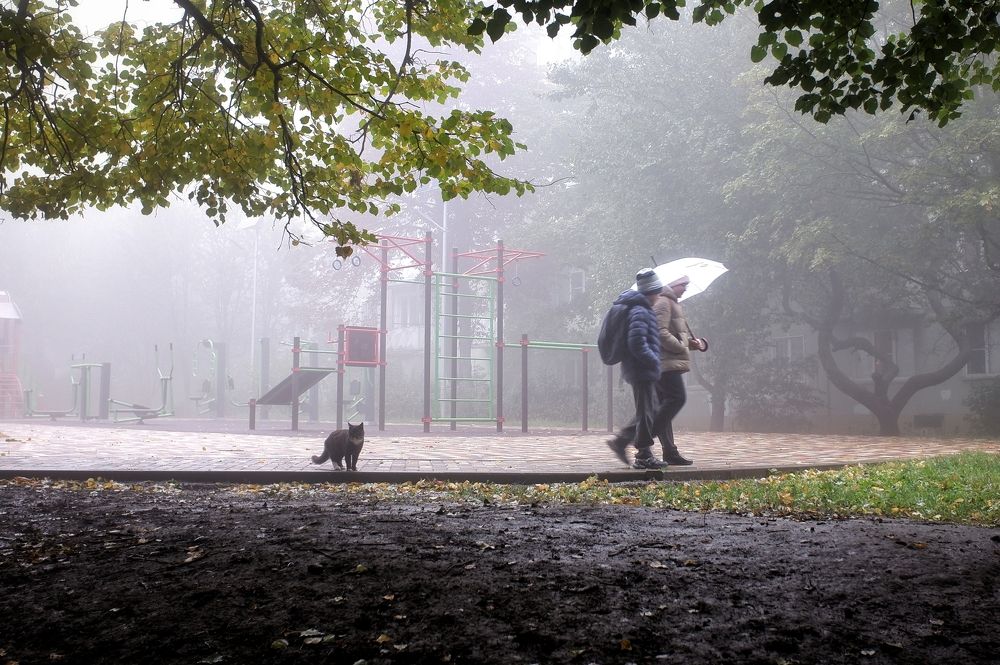 Photograph by Михаил Зорин