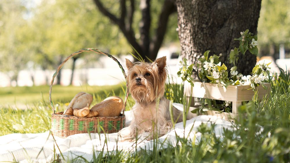 Photograph by Ольга Ивченко