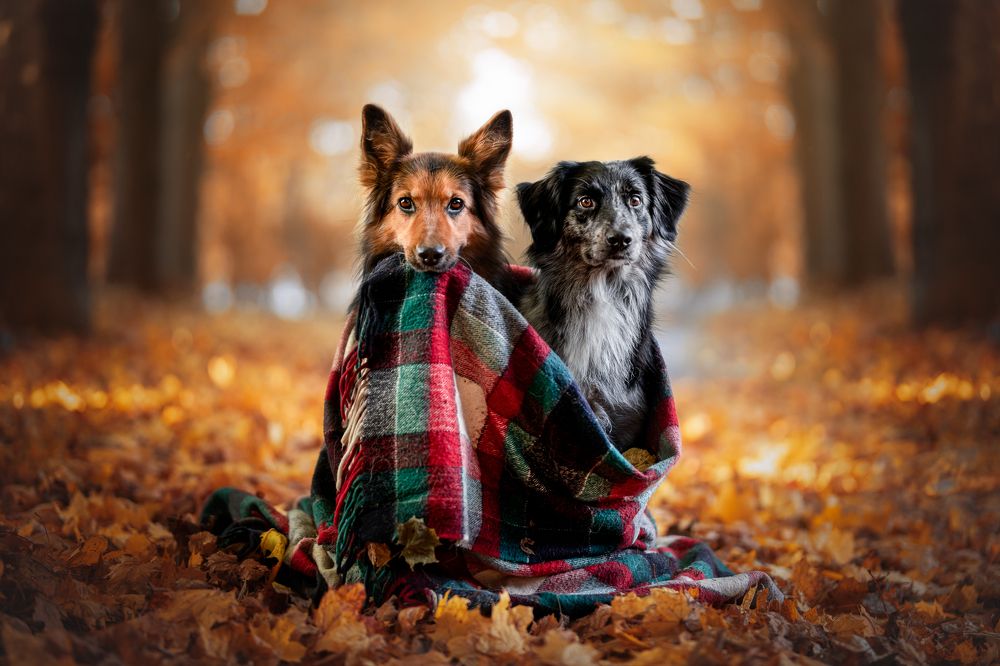 Photograph by Klára Lipertová