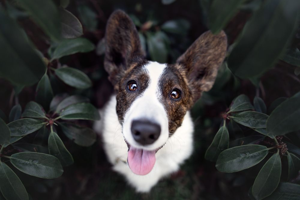 Photograph by Klára Lipertová