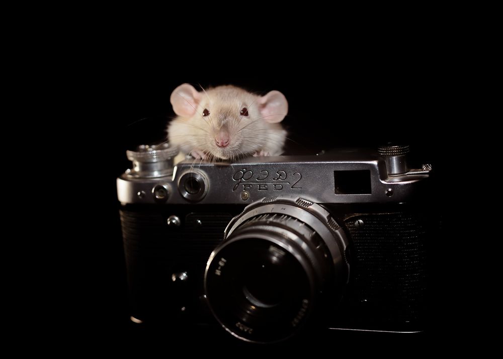 Photograph by Юлия Винокурова