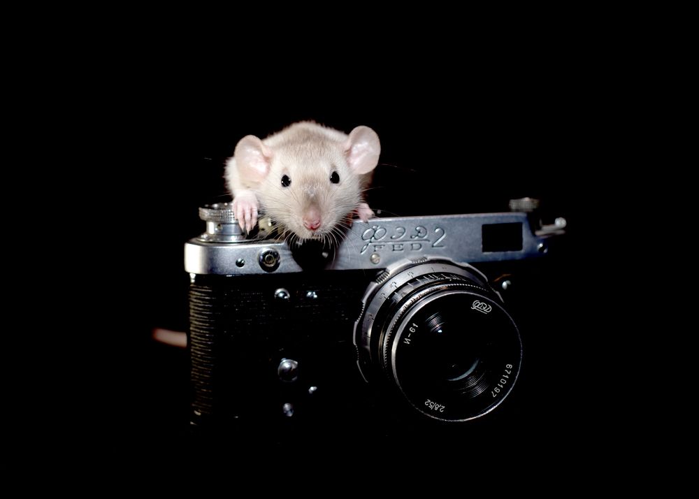 Photograph by Юлия Винокурова