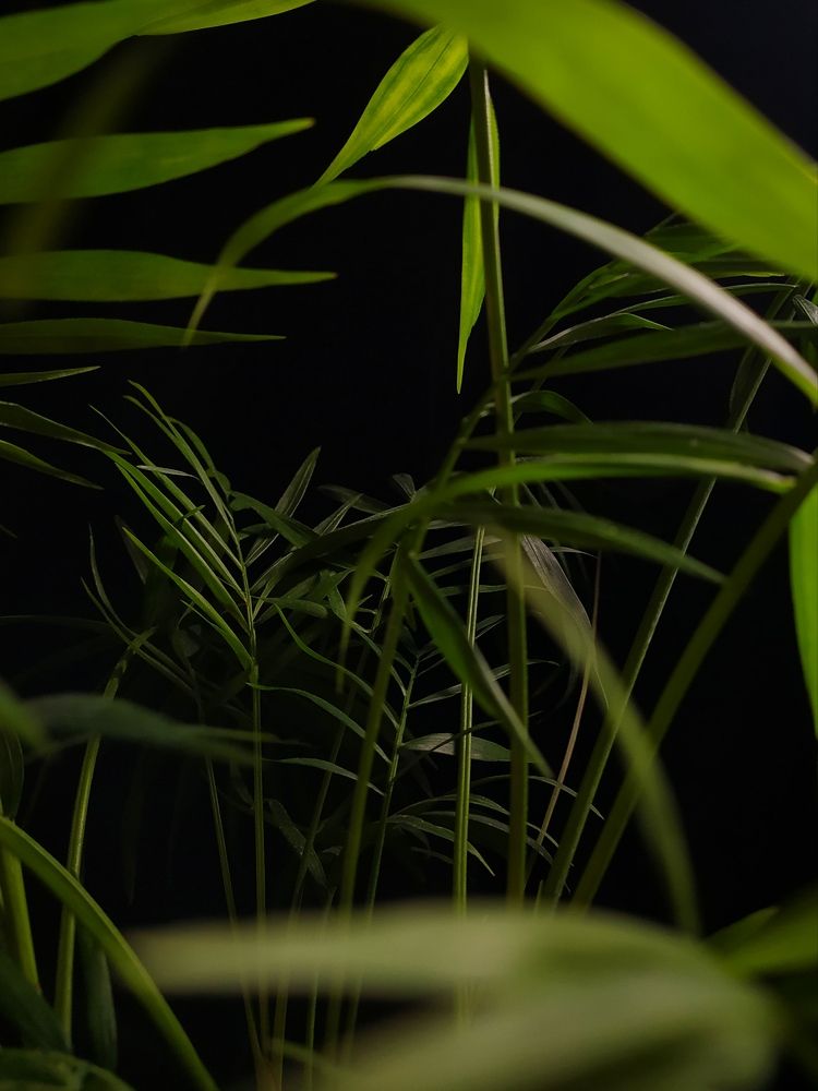 Photograph by Ekaterina Kozlova