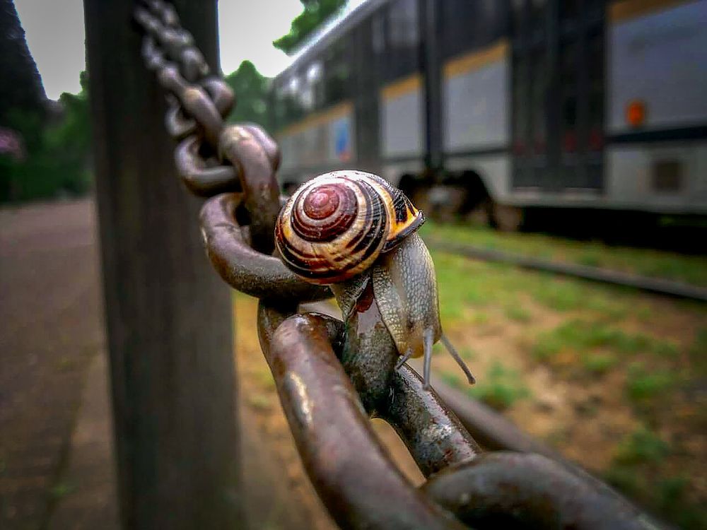 Photograph by Katja Sen