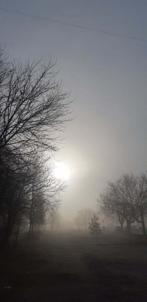 Photograph by Наталья Рогова