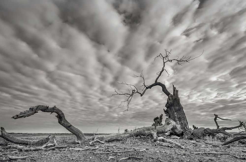 Photograph by Александр Белянский