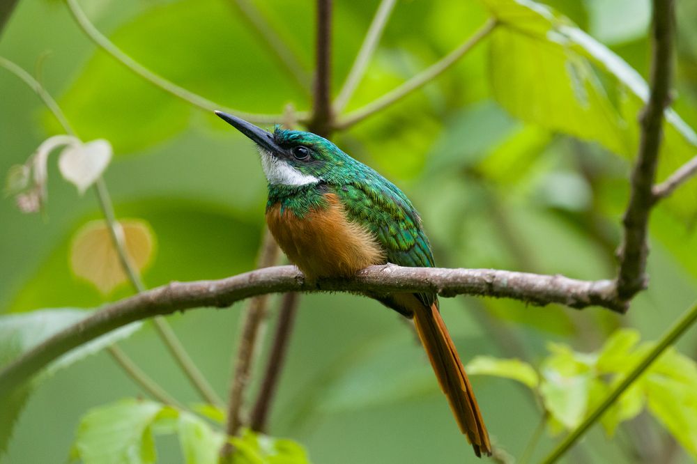 Photograph by Erick Houli