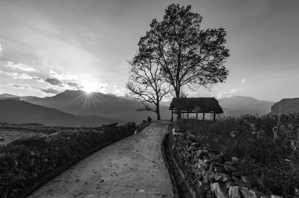 Photograph by Chris Duy