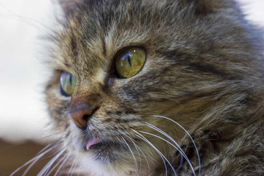 Photograph by Анна-Лаймуте Милошевич