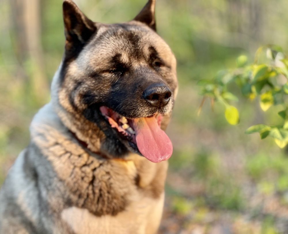 Photograph by SergioSteel