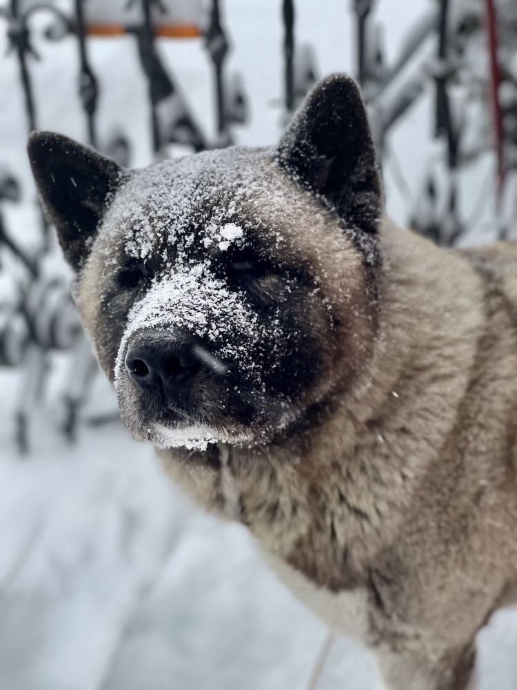 Photograph by SergioSteel