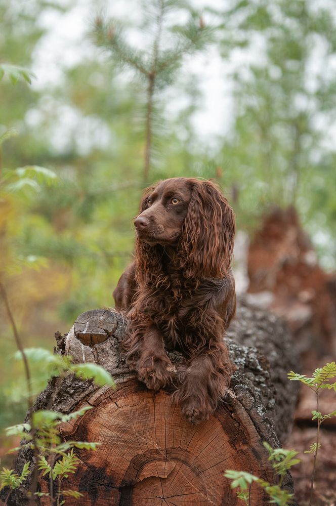 Photograph by Динара Зуйкова