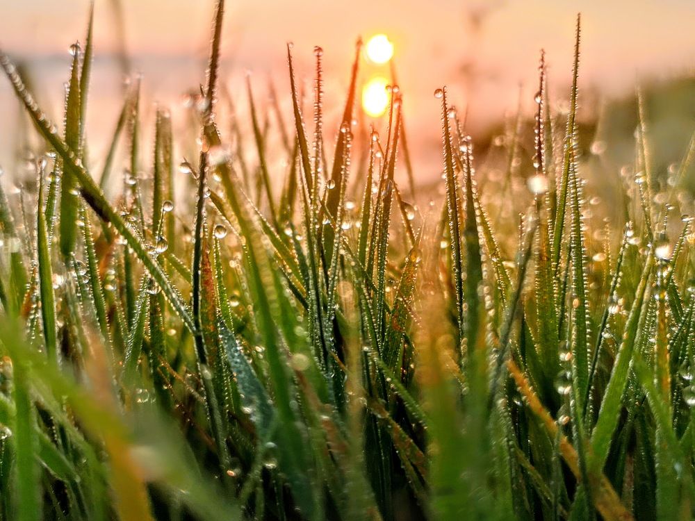 Photograph by Александр Айзенштадт