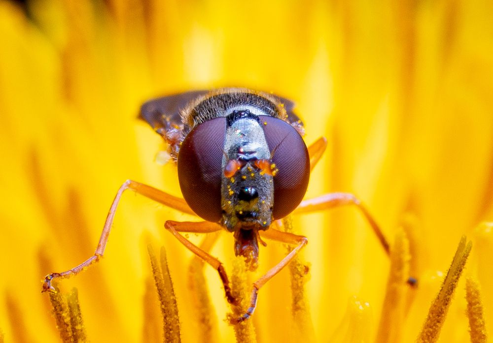 Photograph by Парфентьев Антон