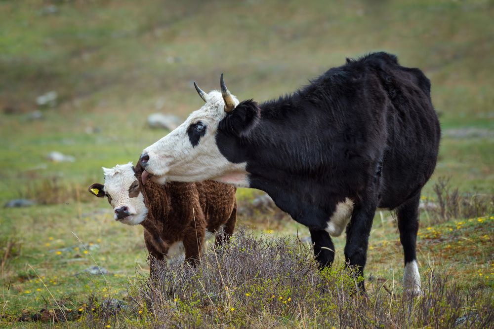 Photograph by Ольга Рагинская