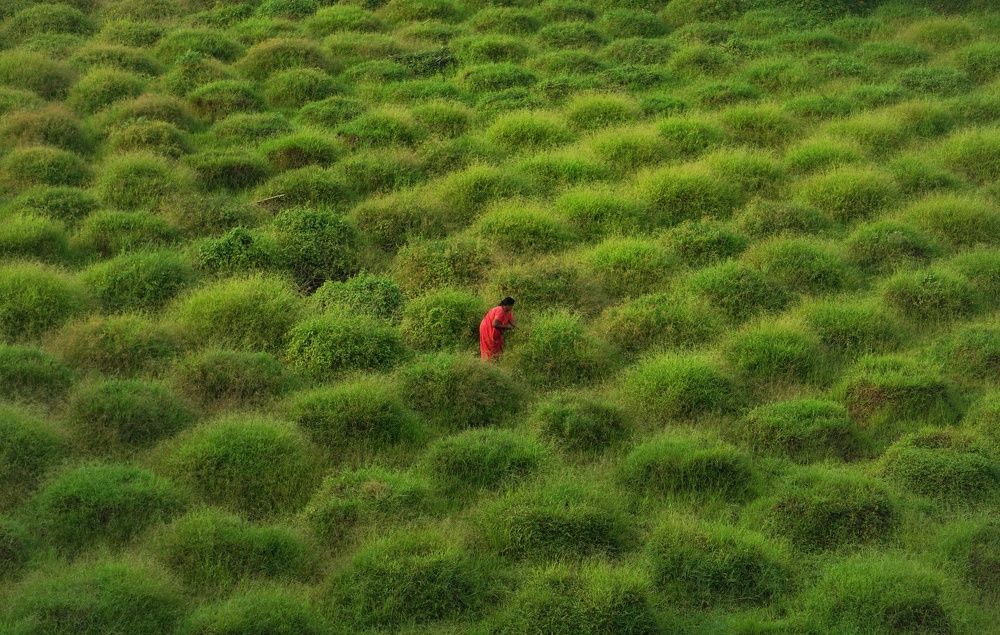 Photograph by Pavitra Shettigar