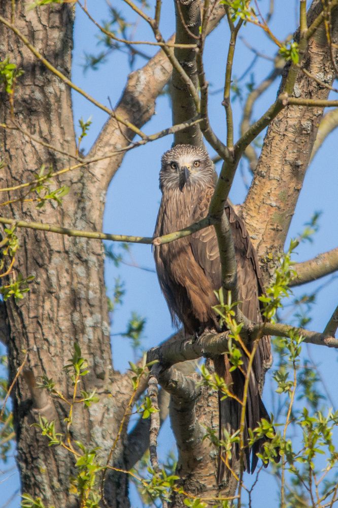 Photograph by Евгения Черво