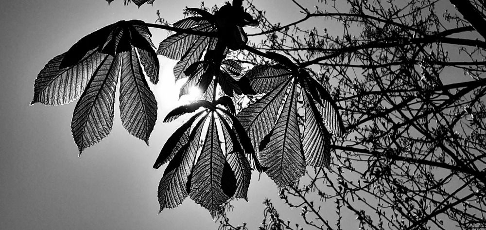 Photograph by Евгения Ульянова