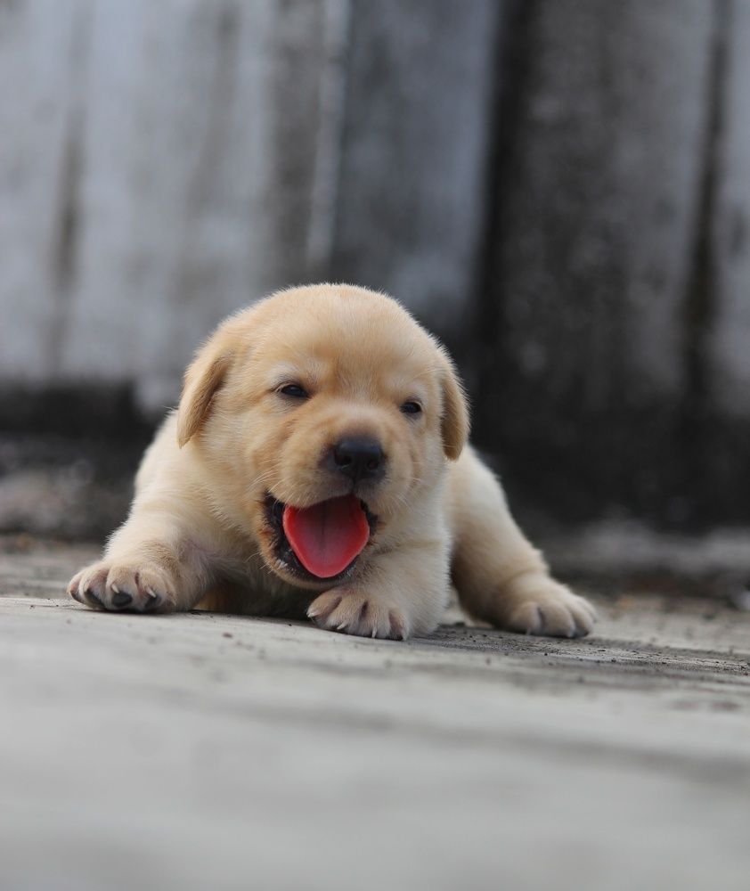 Photograph by Abhiram R