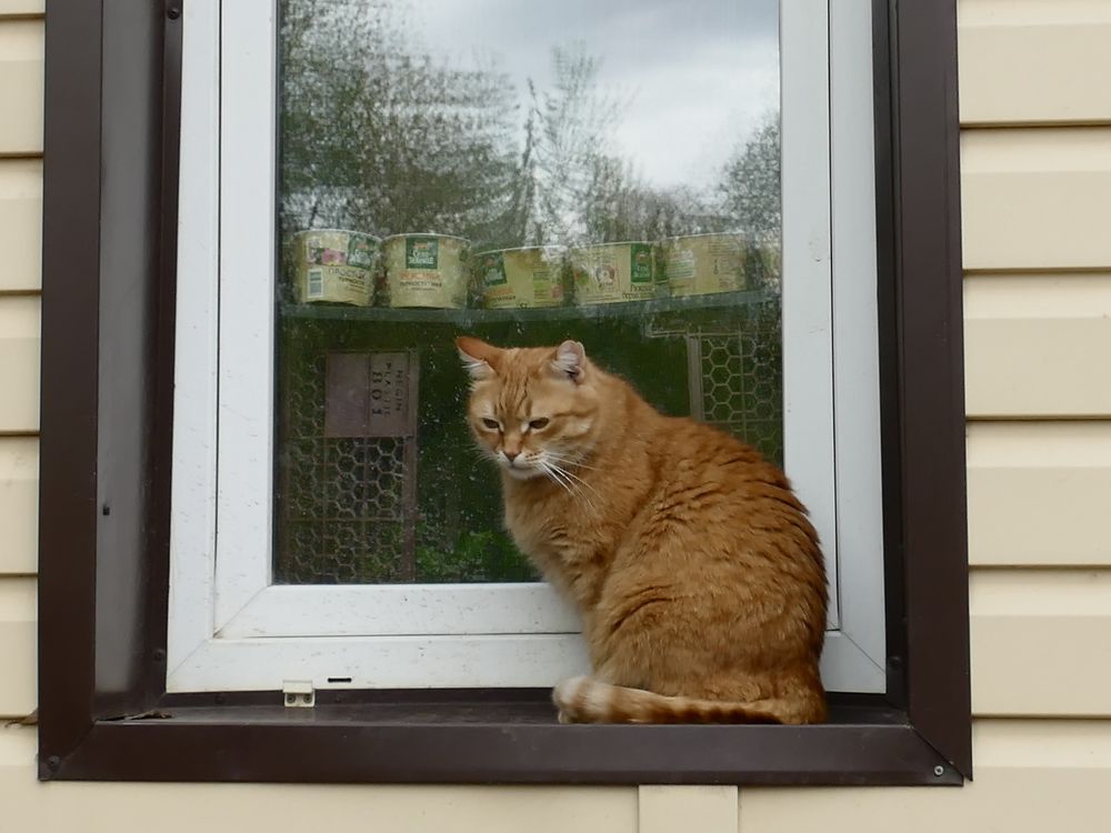 Photograph by Александр Кизим