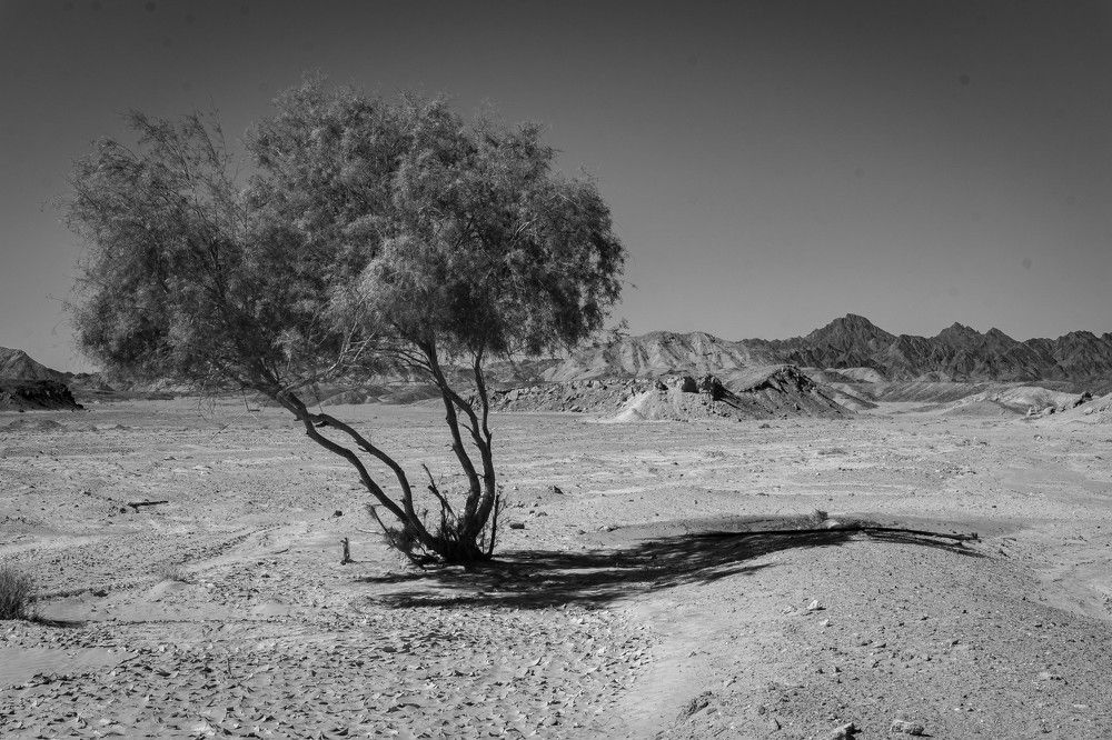 Photograph by Юрий Можейко