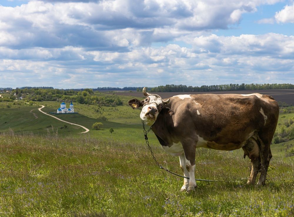 Photograph by Александра Гончаренко Александра Гончаренко