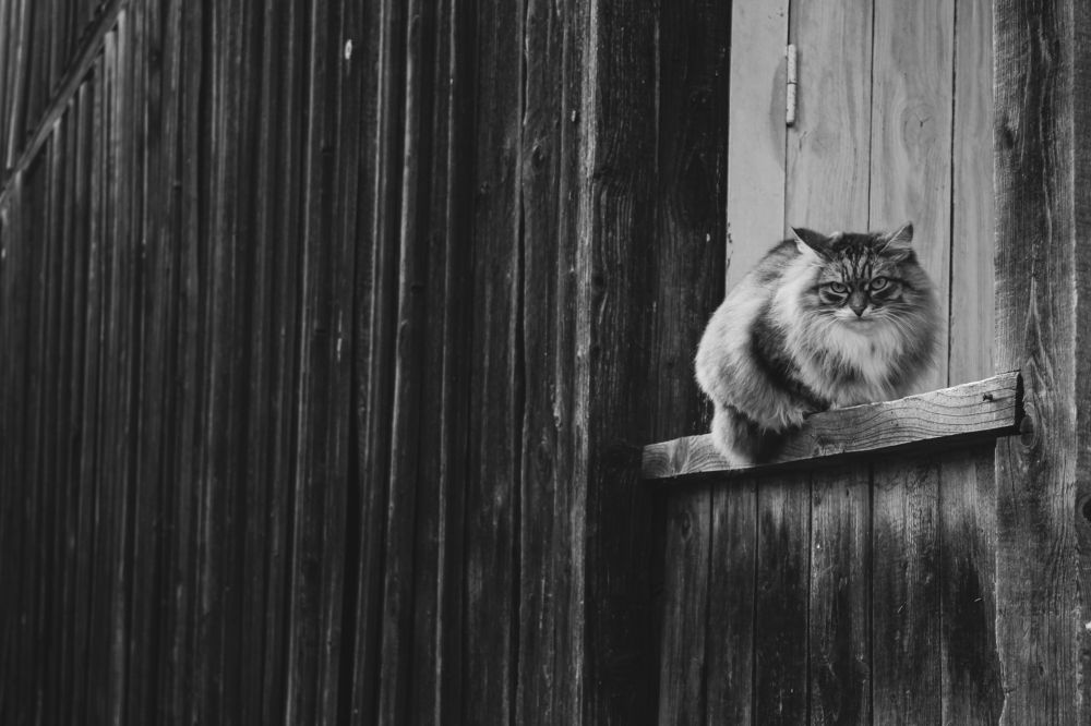 Photograph by Димитрий Осинцев