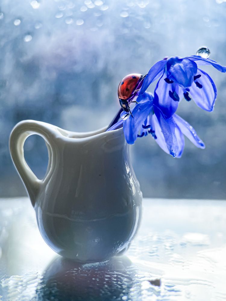 Photograph by Татьяна Висна