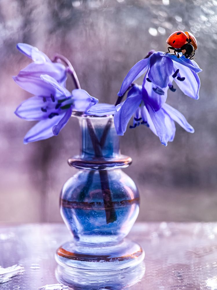 Photograph by Татьяна Висна