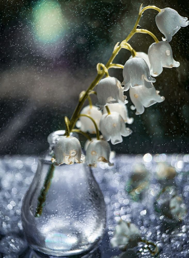 Photograph by Татьяна Висна