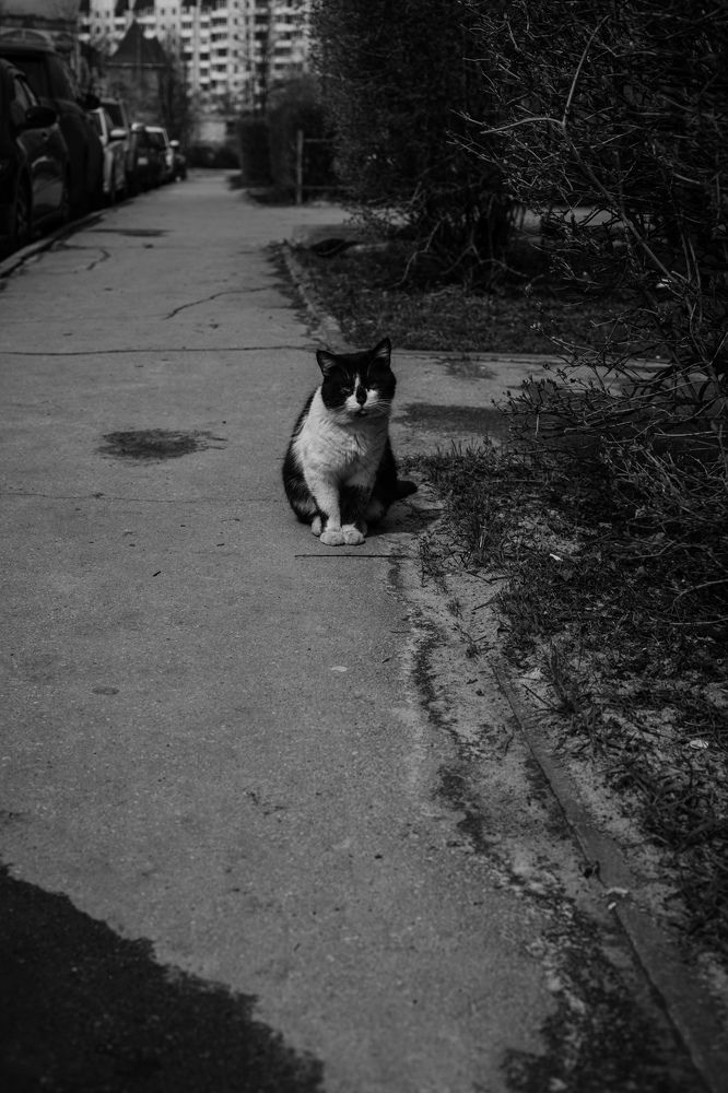 Photograph by Инна Подзорова