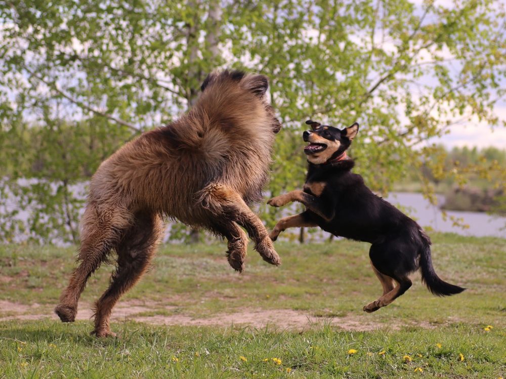 Photograph by Светлана Богомолова