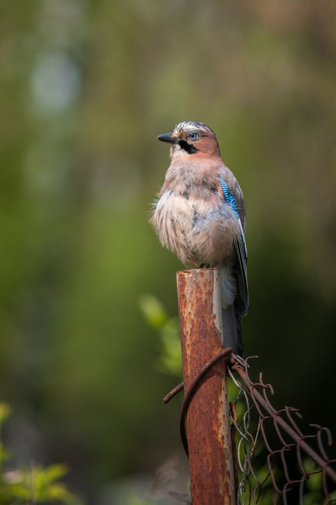 Photograph by Анна Пикаленко