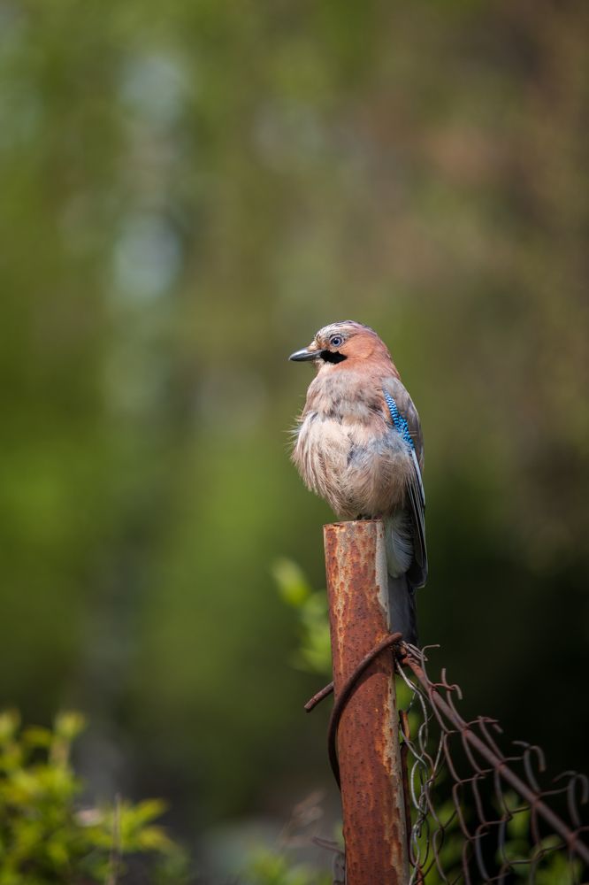 Photograph by Анна Пикаленко
