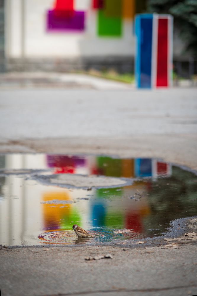 Photograph by Анна Пикаленко