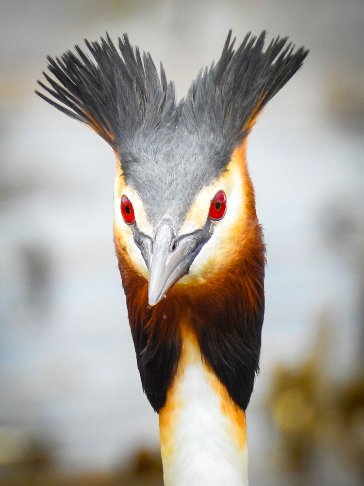 Photograph by Игорь Степанов