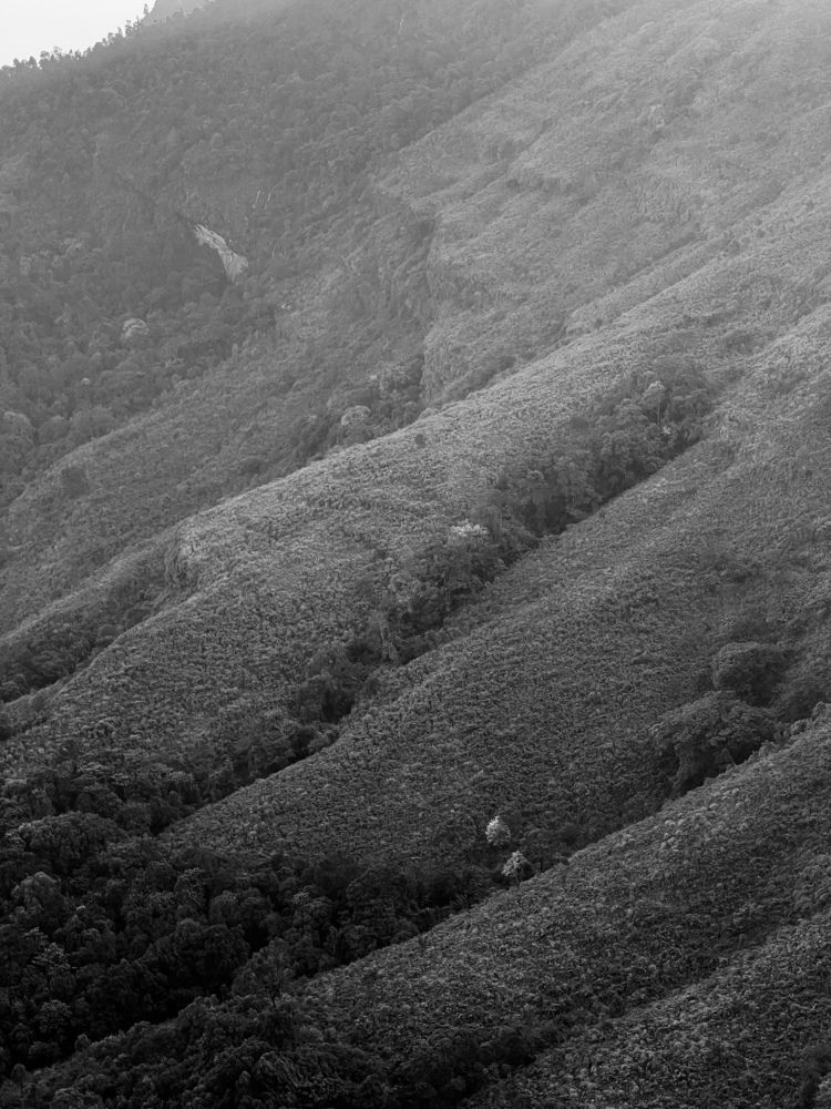 Photograph by Venkat Akhilesh Bathina