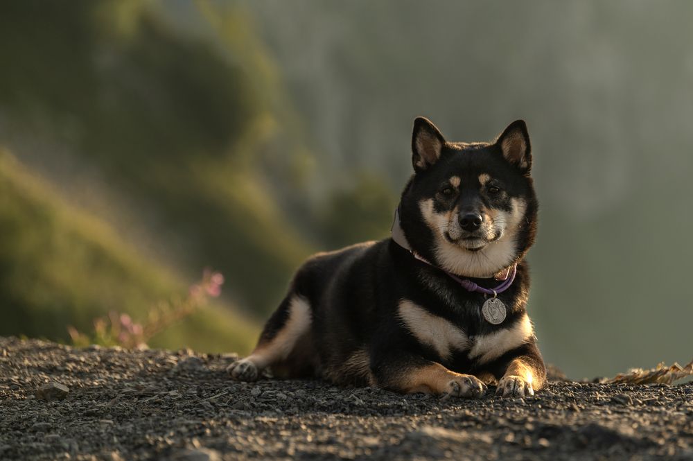 Photograph by Анастасия Мельник