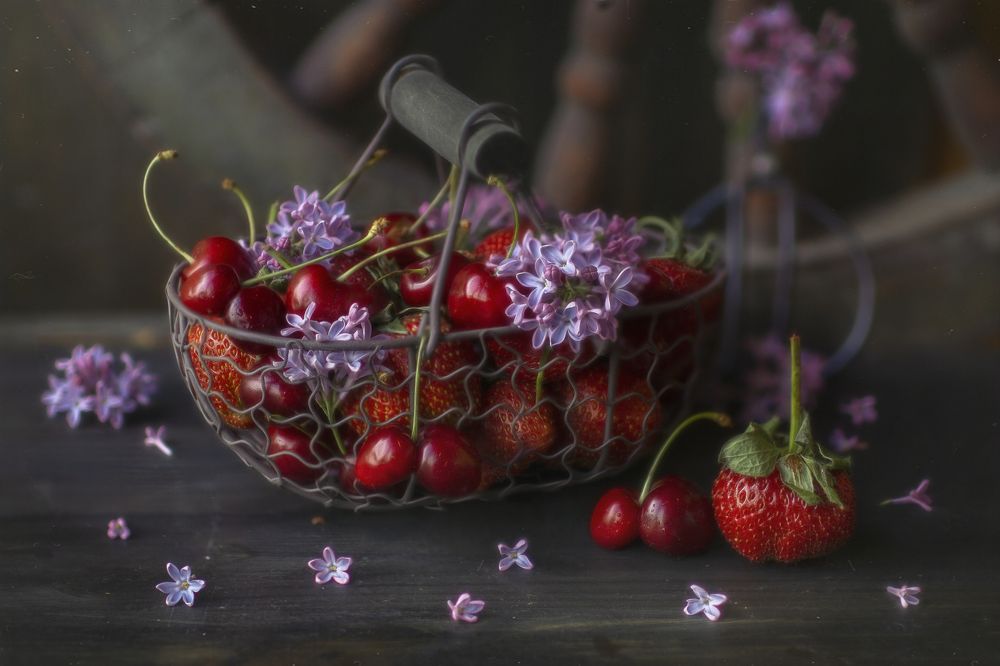 Photograph by Svoboda Andreeva