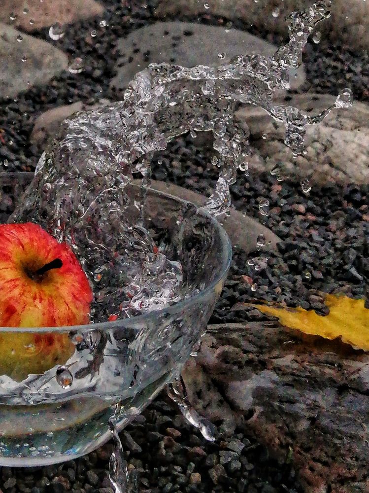 Photograph by Марцева Татьяна