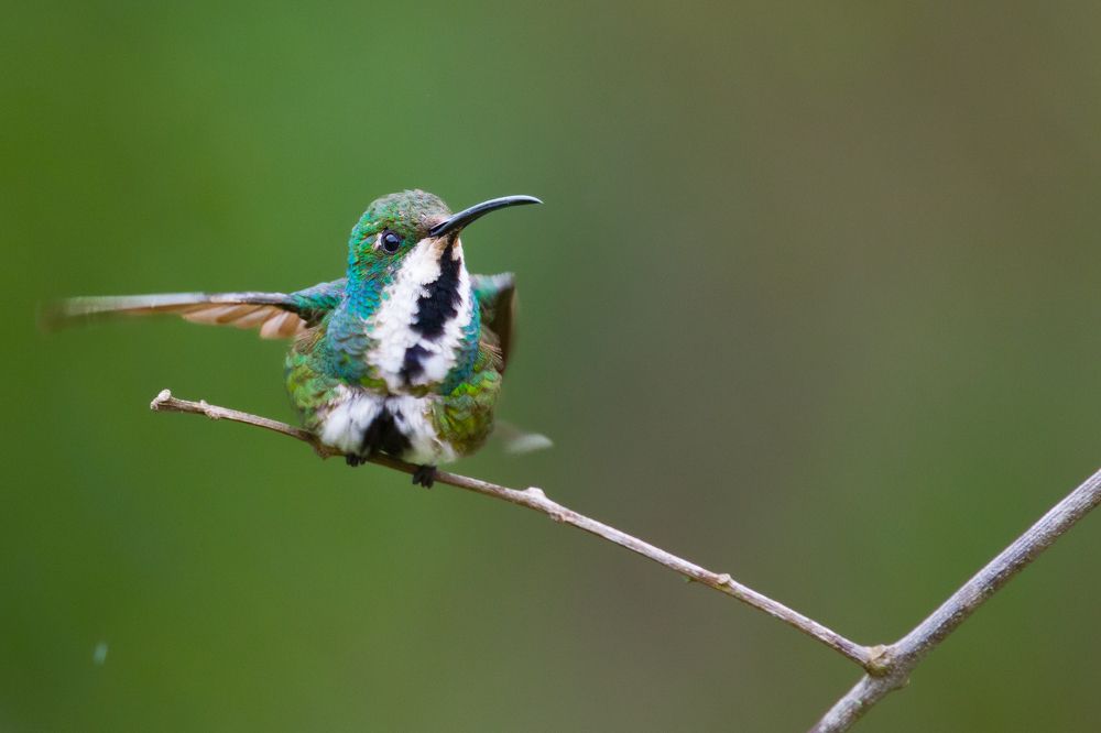 Photograph by Erick Houli