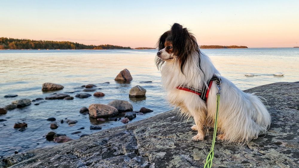 Photograph by Epp Tappel